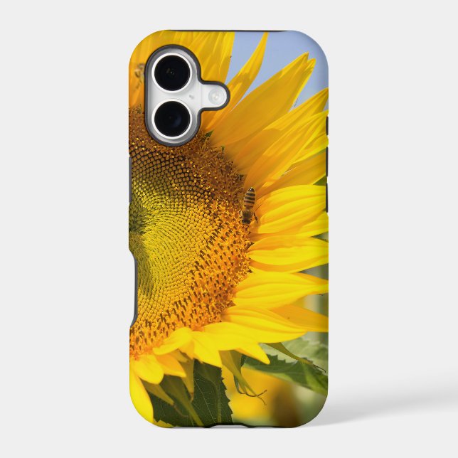 Glorious sunflowers! (Back)