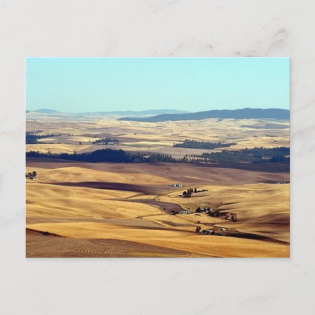 Glory of the Palouse Postcard (Front)