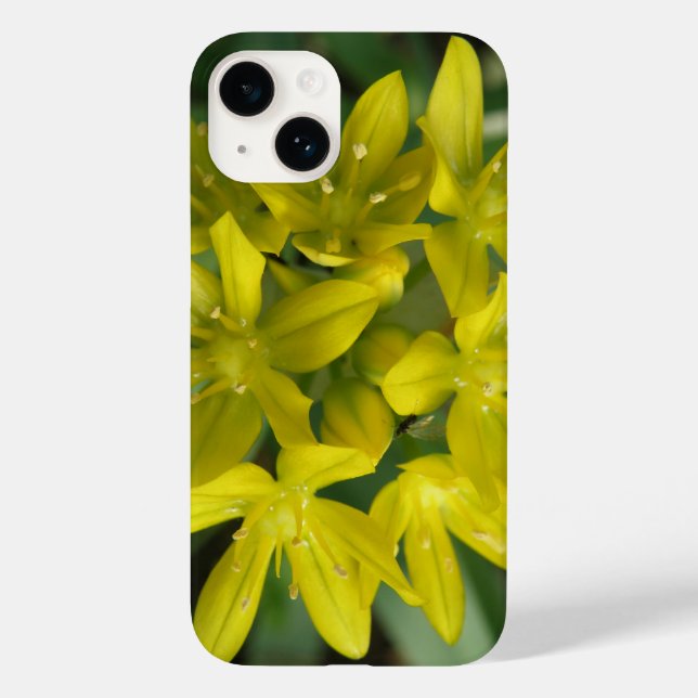 Glory of the Snow Case-Mate iPhone Case (Back)