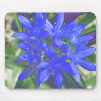 Glory Of The Snow Fluorescent Blue Mousepad