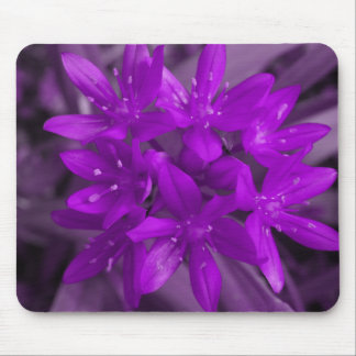 Glory Of The Snow Purple Mousepad