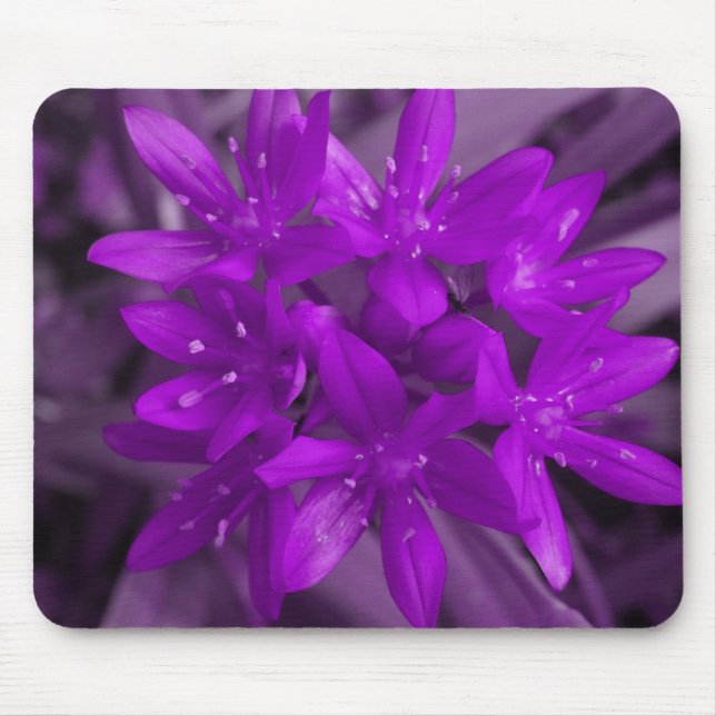 Glory Of The Snow Purple Mousepad (Front)