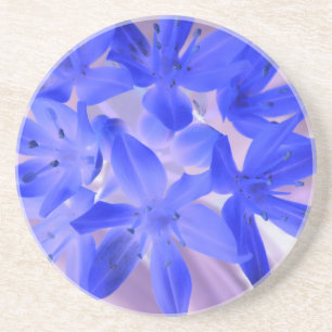 Glory Of The Snow Shocking Blue Coasters