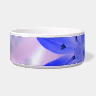 Glory of the Snow Shocking Blue Dog Bowl