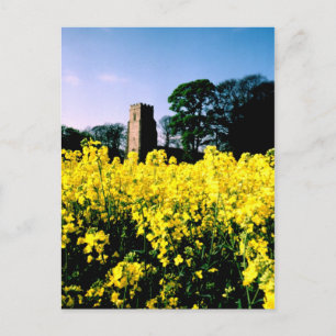 Glory Postcard