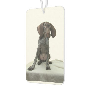 Glossy Grizzly Air Freshener