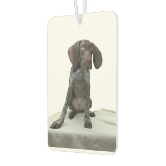 Glossy Grizzly Air Freshener