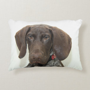 Glossy Grizzly Decorative Pillow