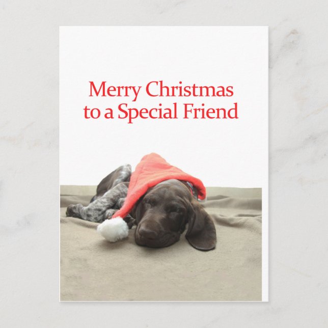 Glossy Grizzly Special Friend Merry Christmas Holiday Postcard (Front)