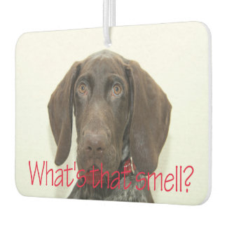 Glossy Grizzly what's that smell Air Freshener