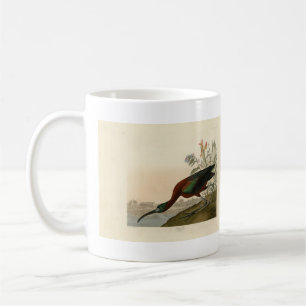 Glossy Ibis - from Audubon's Birds of America Coffee Mug