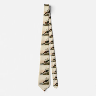 Glossy Ibis - from Audubon's Birds of America Tie