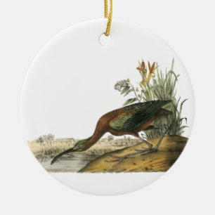 Glossy Ibis, John Audubon Ceramic Ornament