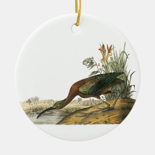 Glossy Ibis, John Audubon Ceramic Ornament (Front)