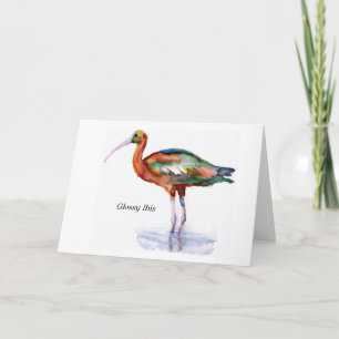 Glossy Ibis note card