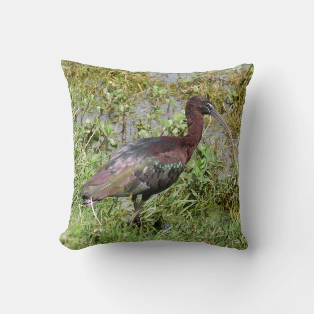 Glossy Ibis Pillow (Front)