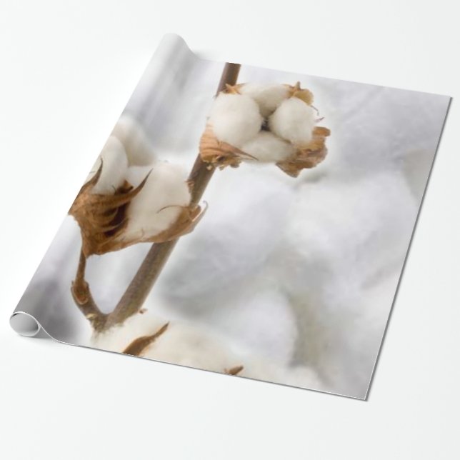 Glossy Wrapping Paper, Cotton Paper (Unrolled)