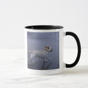 Gloucester, Massachusetts, USA Mug