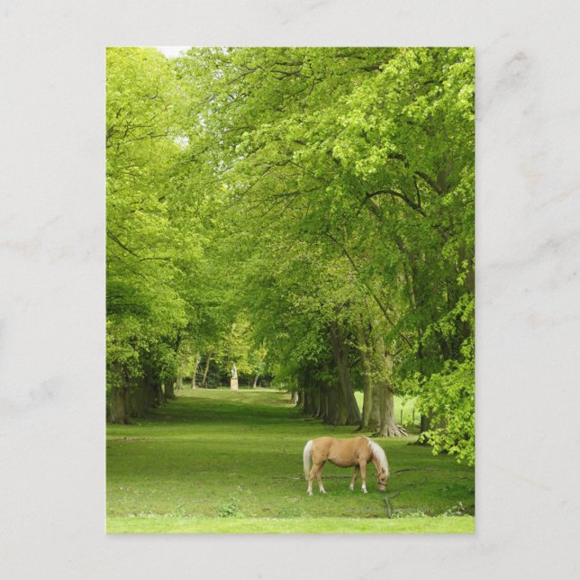 Gloucestershire, UK Postcard (Front)