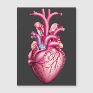 glowing anatomical heart
