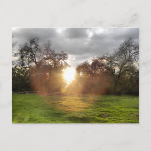 Glowing Ball of Light Postcard