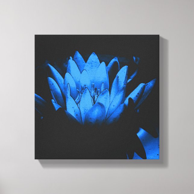 Glowing Blue Water Lily Lotus Flower Abstract  Canvas Print (Front)
