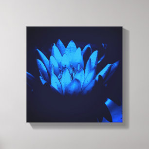 Glowing Blue Water Lily Lotus Flower Abstract  Canvas Print