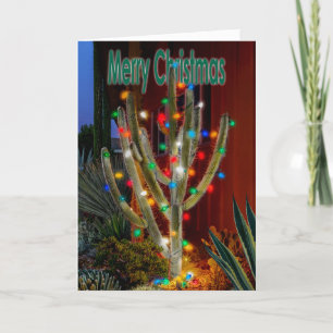 Glowing Christmas Cactus with Merry Christmas Holiday Card