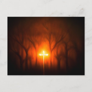 Glowing Cross in Woods Postcard