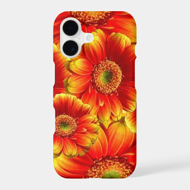 Glowing Gerbera Daisies (Back)