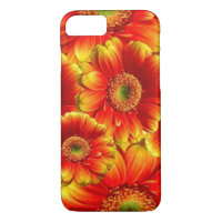 Glowing Gerbera Daisies