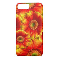 Glowing Gerbera Daisies