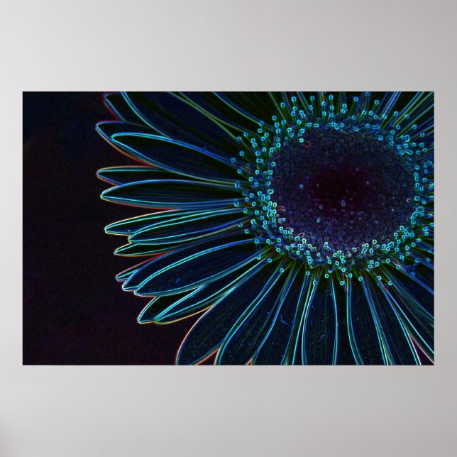 Glowing Gerbera Daisy Poster (Front)