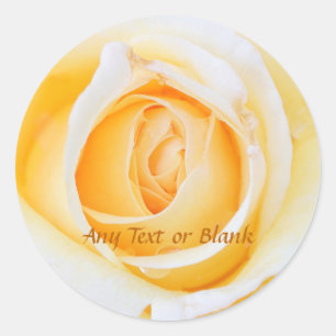 Glowing Goddess Yellow  Rose  Classic Round Sticker
