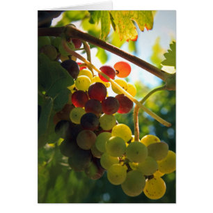 Glowing Grapes