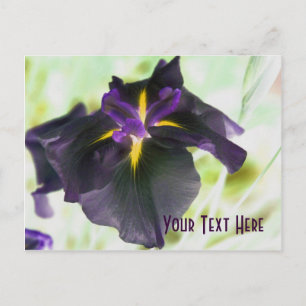 Glowing Iris Floral Customizable Postcard