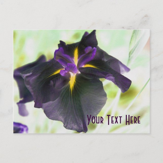 Glowing Iris Floral Customizable Postcard (Front)