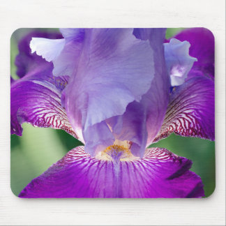 Glowing Iris Nature / Floral / Botanical Photo Mouse Pad