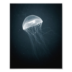 Glowing Jellyfish   Photo Print