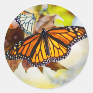 Glowing Monarch Sticker