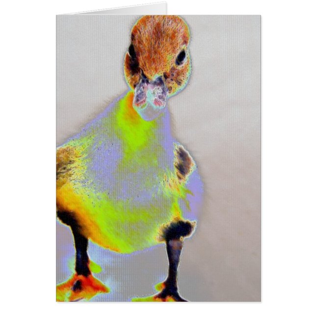 Glowing Muscovy (Front)