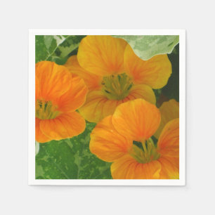 Glowing Nasturtium Paper Napkins
