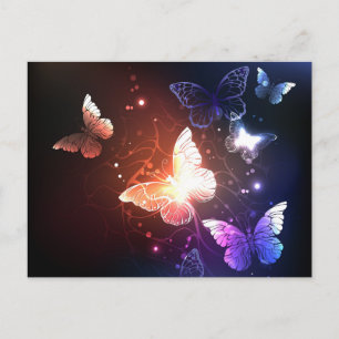 Glowing Night Butterflies Invitation Postcard
