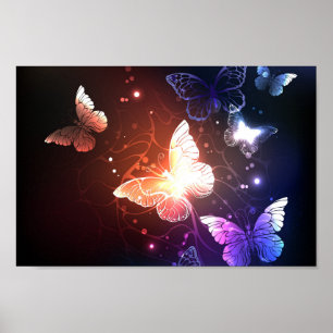Glowing Night Butterflies Poster