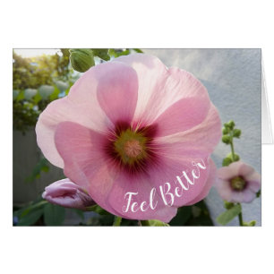 Glowing Pink Hollyhock Flower Feel Better Card