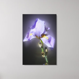 glowing purple canvas print