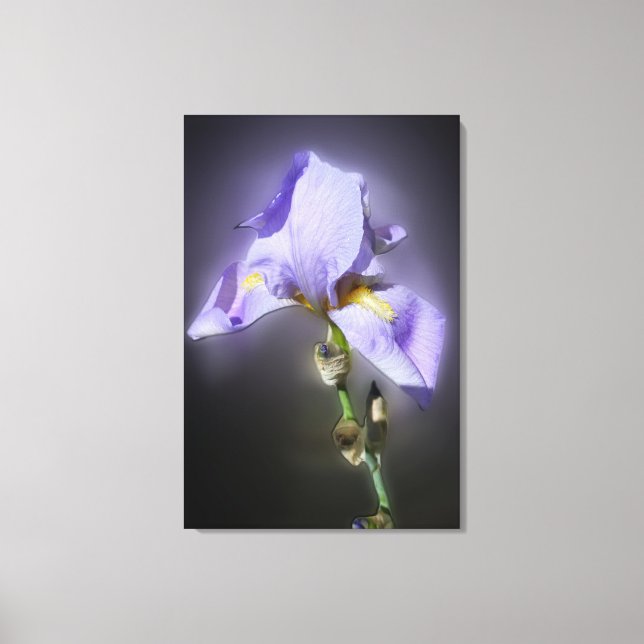 glowing purple canvas print (Front)