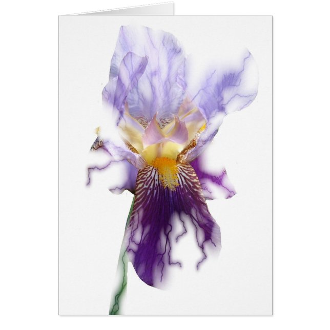 Glowing Purple Iris Card (Front)