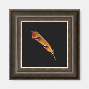 Glowing Raven Feather Bird-lover Framed Art Effect Magnet