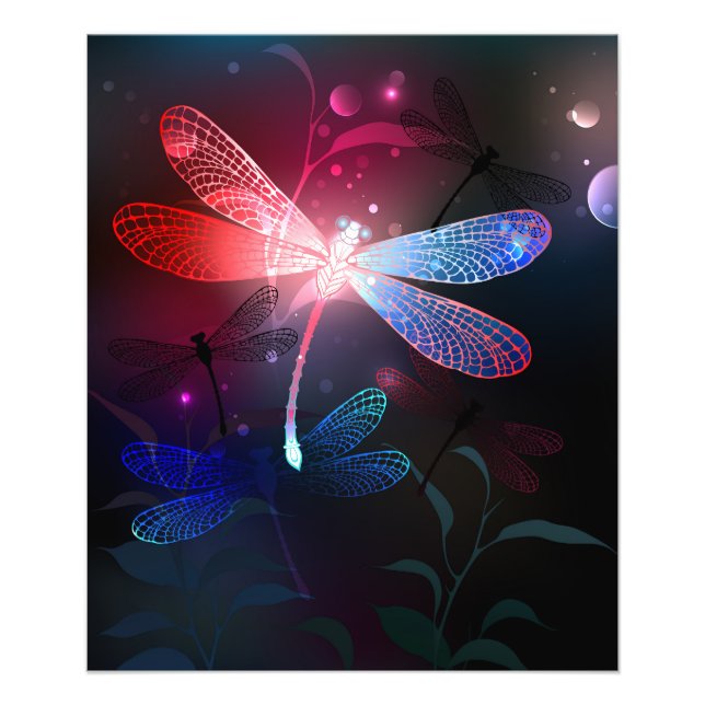 Glowing red dragonfly photo print (Front)